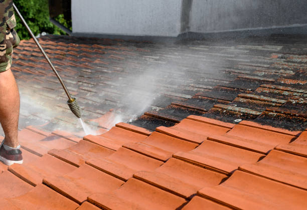 Best Affordable Power Washing  in St Ignace, MI