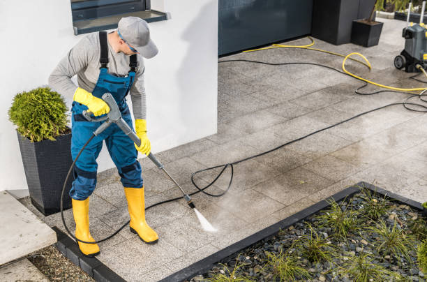 Best Deck Cleaning Services  in St Ignace, MI