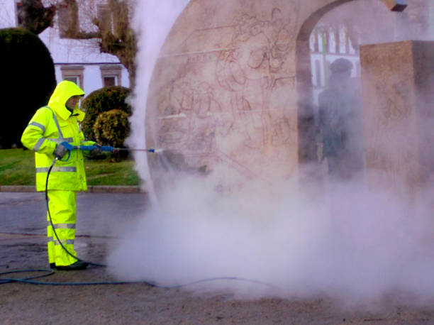Best Residential Pressure Washing Services  in St Ignace, MI